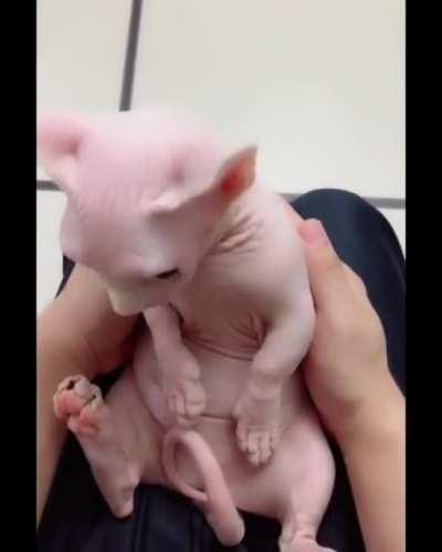 He is so relaxed Love His Eyes