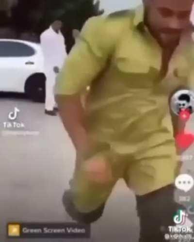 dogs vs monke summed up.