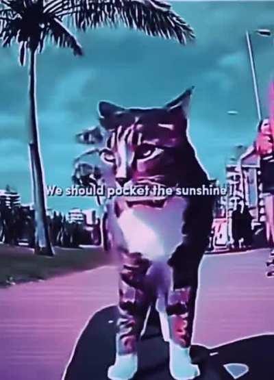 Praise spez (I want a cat)