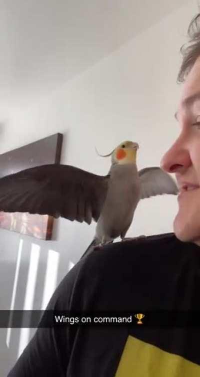 Showing off his party trick