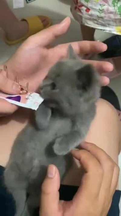 Yeah he's not interested at all...