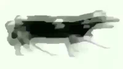 Tutaj to chyba najbardziej pasuje.