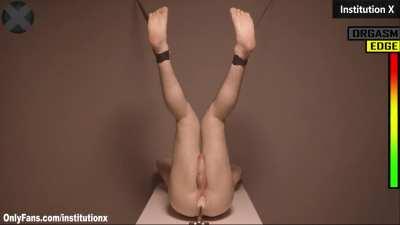 🖤 Sub restrained for machine prostate milking - INSTITUTION X