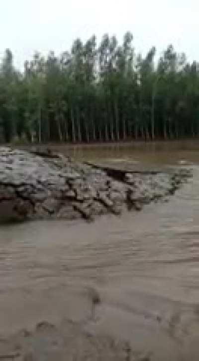 Land raising from water