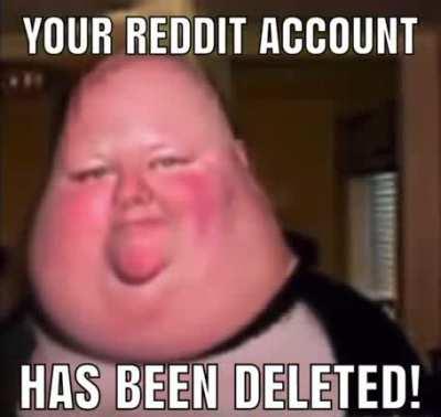 high quality shitpost