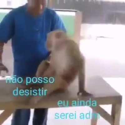 💪🏾🇲🇽💪🏾