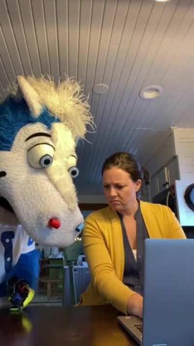 Ooh! Fireworks 💥 🎇🧨