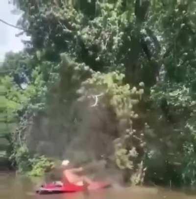 Disturbing a sworm of bees