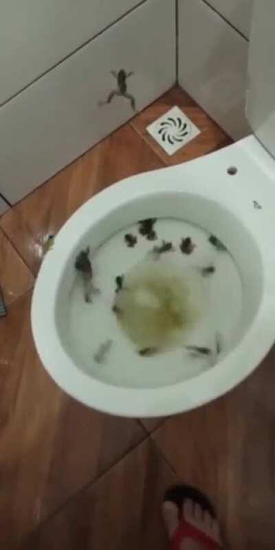 Thanks, I hate toilets