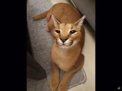 Up to his neck in it