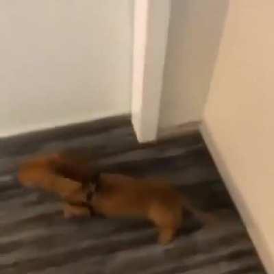 I know there are some depressed ahh mfs in this sub, so hopefully this can cheer u up