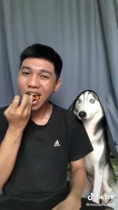 Pfvr quero apetecer na degustação pfvr pelo amor de Alexandre 🙏🏼🙏🏼🙏🏼