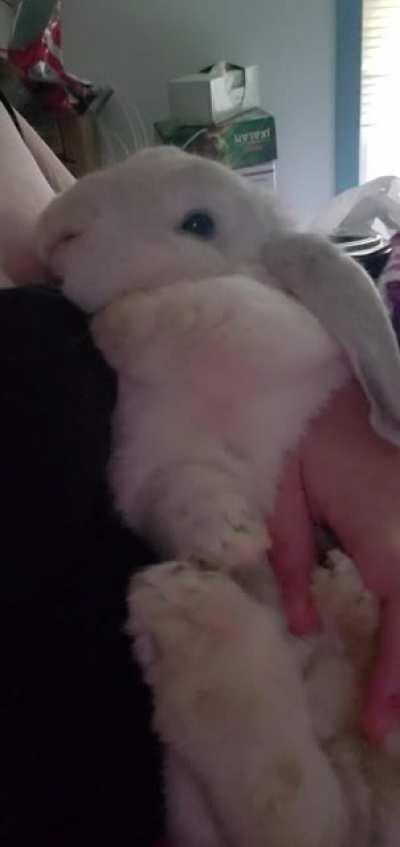 She stayed in my arms like this for maybe 1 more minute before hopping down and away