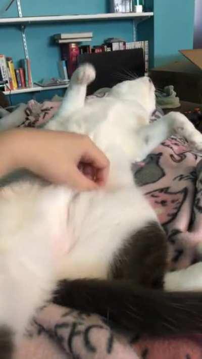 The belly is not a trap!