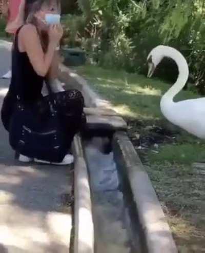 I'm so cool not wearing a mask