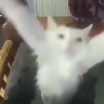 Around the world around the world