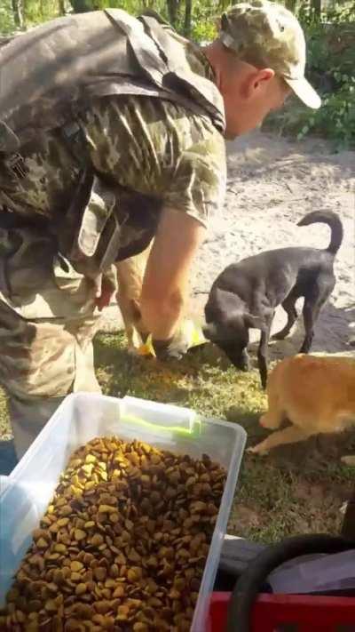 Thank you to everyone who helps animals affected by the war in Ukraine