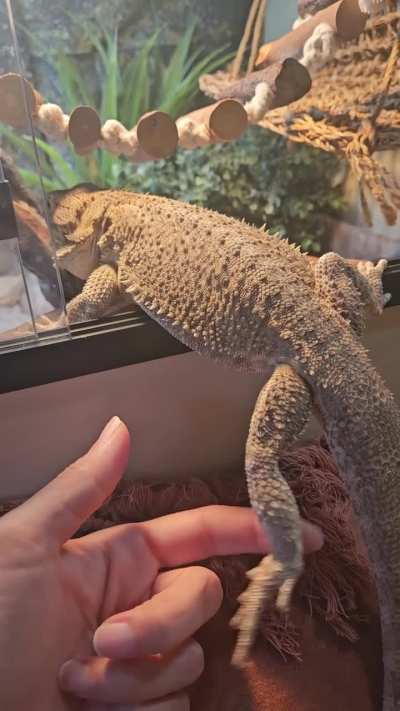 Lost reception mid step again...