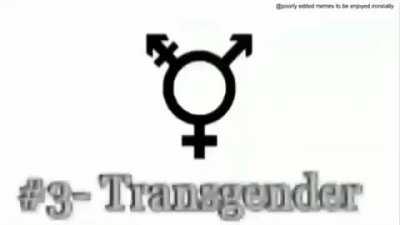 36 facts about 36 genders