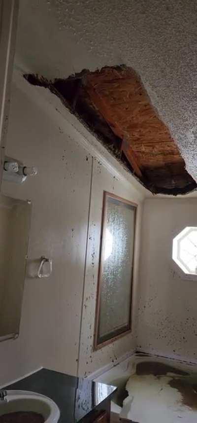 The house froze and the handle on the sink faucet shot off. The house unthawed and we found this.