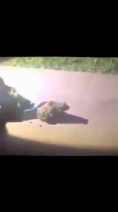 Me pregunto cuanto se van a tardar en robar el meme y reposterlo