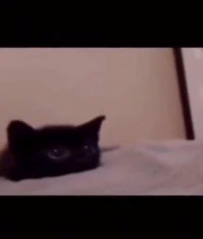 are fourth of july fireworks really worth it?