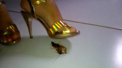 she always crushes disgusting bugs to make an example for the others