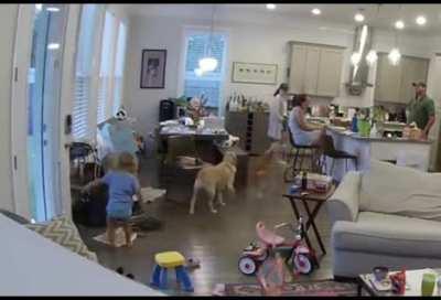 No good deed goes unpunished