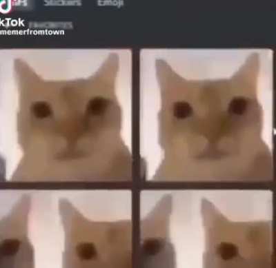 Aqgwsgdghb dcrhhsagjvam