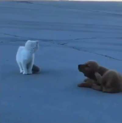 I is Not Getting into Trouble... Me just Cleaning Myself. xD