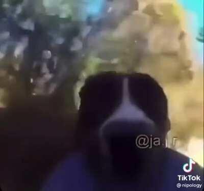 don’t know much about the song it might be 2000s