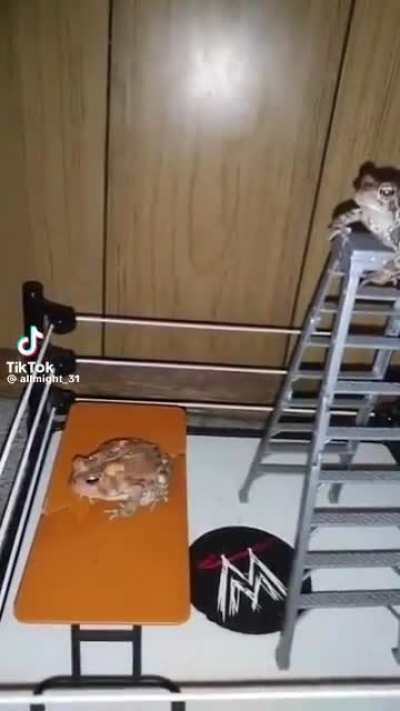 More Phrög wrestling 