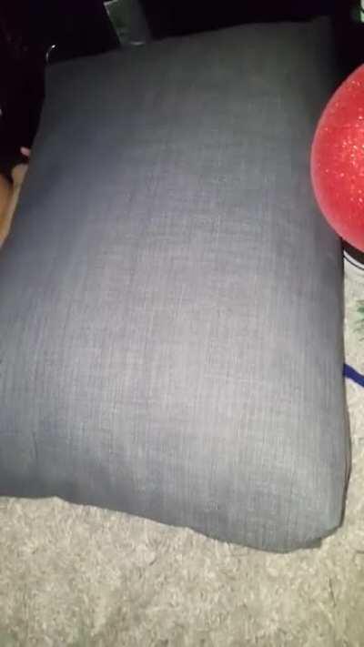 Hubby came home from work and found me fucking a Stranger on our living room floor. He immediately started recording and jerking off