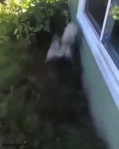 And the Oscar goes to…..!