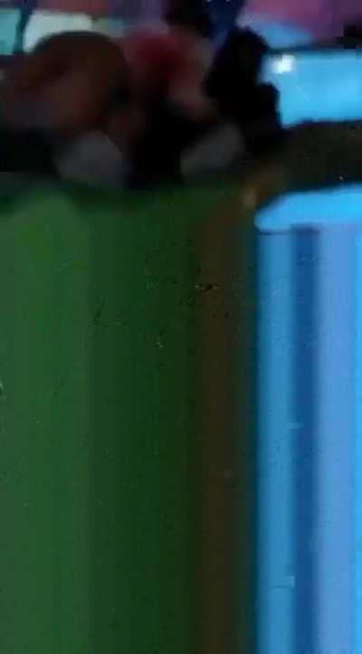 AMAR AKHBAR ANTHONY 🥺🎀☝🏽