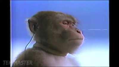 El primero es IBAI (denme upvotes)