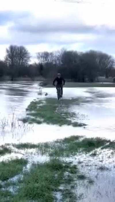 WCGW riding your bike through a river