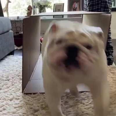 He came in like a wrecking ball