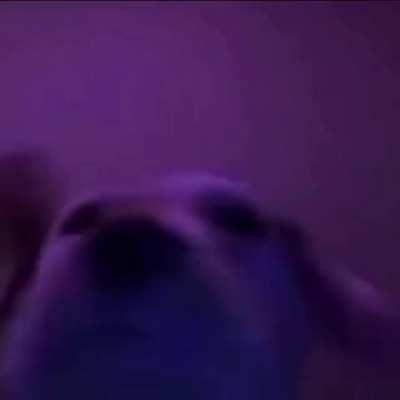 Meme For 8-Bit Reddit (show me in a video please ryan-chan)