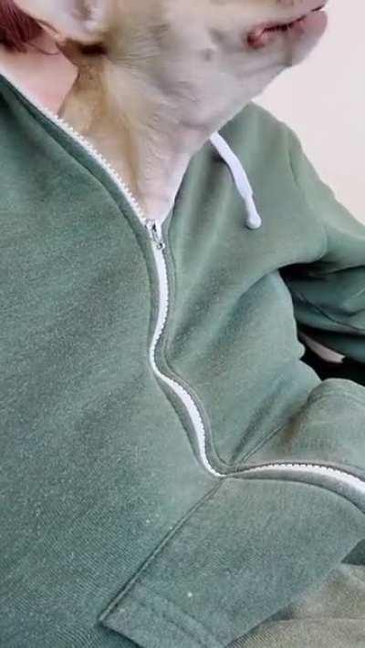 cHesTBurStER fuCkInG riPS iTs WAy ouT of HoST, sCrEAMS!! (GraPHIc)