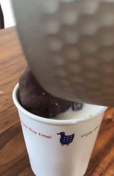 psYcHos bUrNiNg AnD dRowNinG a gOriLLa!!!