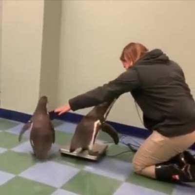 Good boy! AAAAAAAAAAAAAAAAAAAA