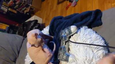 Randoms online: Why do you keep dying?