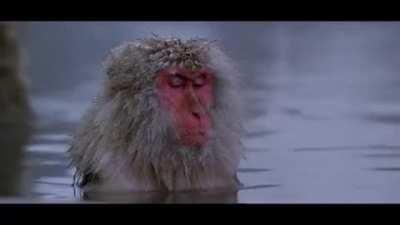 Me thinking about the humans who had to wake up to work a soul destroying job today.