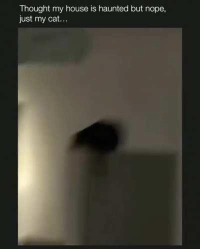 I am bored here hooman