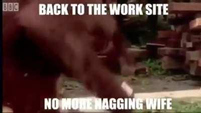 finally Monday morning😂👌