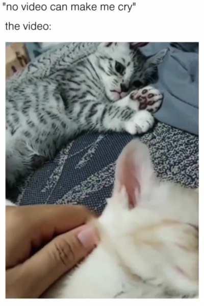 Started his villian arc. 