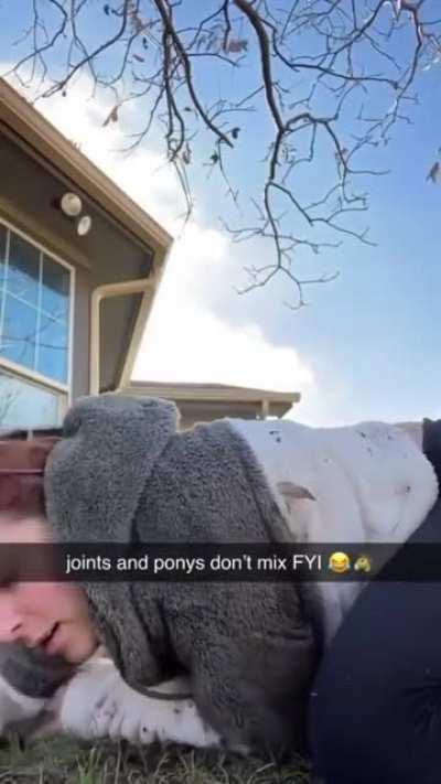 HMC while I try to ride a pony