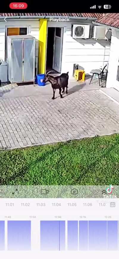 Samo tacni komentari