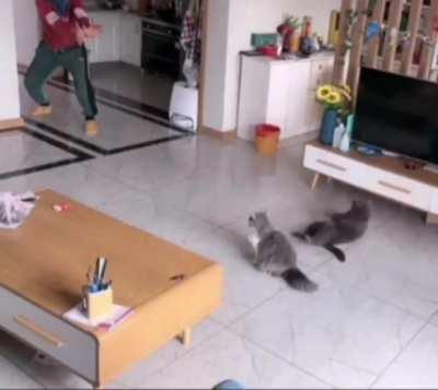 They understood the assignment